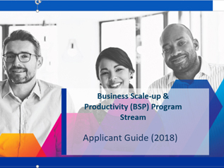 Business Scale-up & Productivity (BSP) Stream